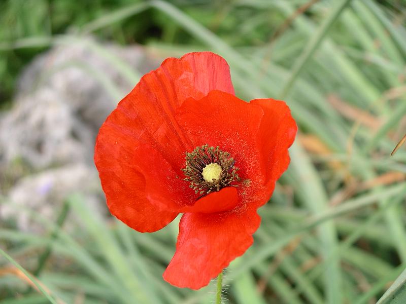 turkije2005 146.jpg
